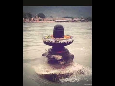 Interpreting the Significance of Shivling in Aquatic Dreams