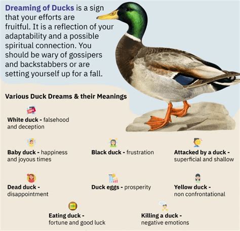 Interpreting the Significance of a White Duck in Your Dream