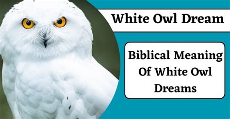 Interpreting the Significance of a White Owl Dream