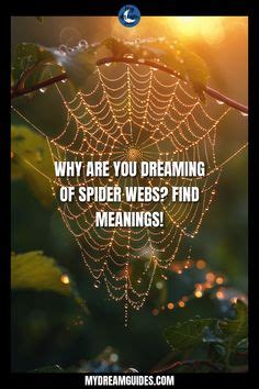 Interpreting the Symbolic Meaning of Encountering a Spider's Web in Dreams