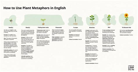 Interpreting the Symbolism: Plant as a Metaphor of Life