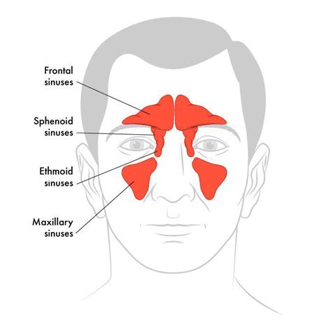 Interpreting the Symbolism of a Thread Emerging from the Nasal Passage