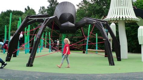 Intriguing World of Dreams: Spider Playgrounds and Their Significance