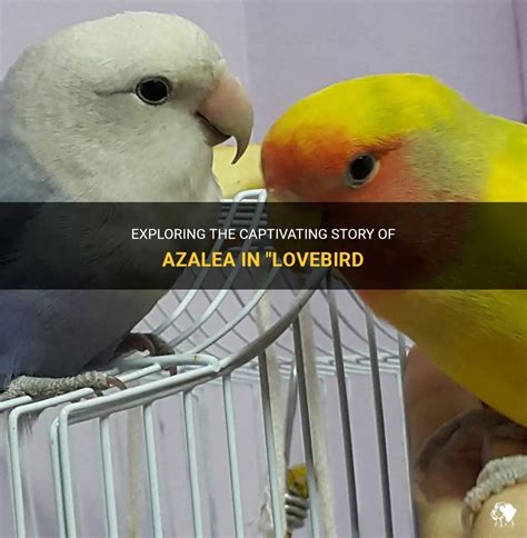 Introducing Lea Lovebird: A Captivating Life Story