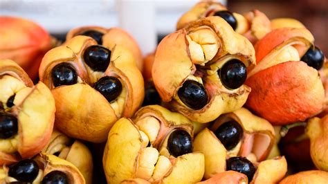 Introduction to Ackee: A Fruit Worth Knowing