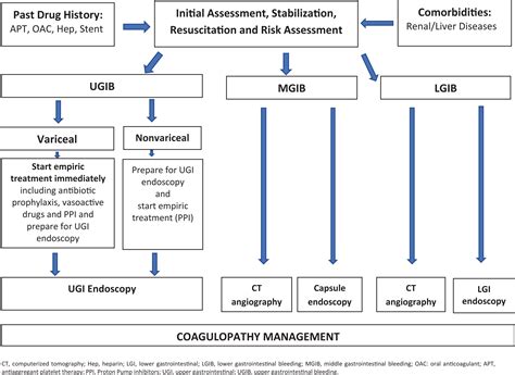 Investigative Procedures and Evaluative Methods for Gastric Hemorrhage