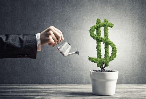 Investing Wisely: Growing Your Money and Building Wealth