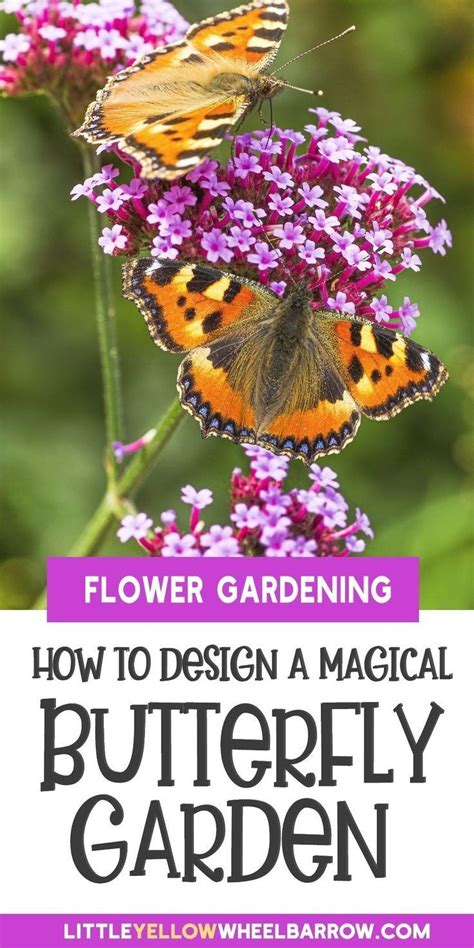 Inviting Ethereal Visitors: Enhancing Your Garden to Attract Pure Winged Creatures