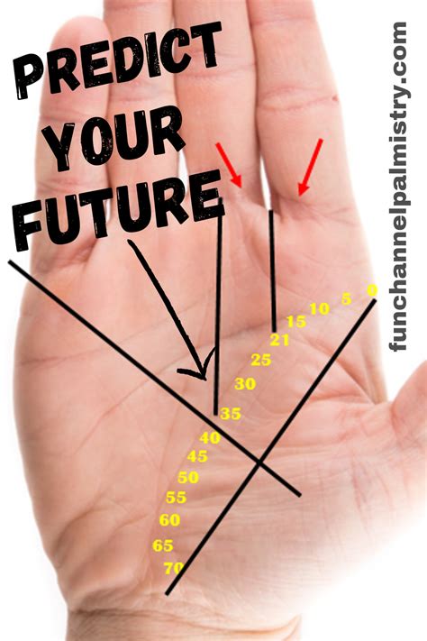 Is Palm Reading Truly Capable of Predicting Your Destiny?