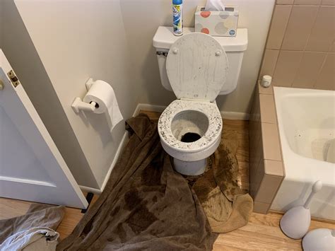 Is Your Toilet Prone to Overflow? Discover the Causes and How to Handle It