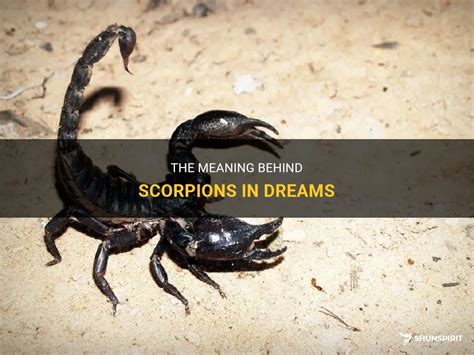 Is there a Historical Significance behind the Symbolism of Scorpions in Dreams?