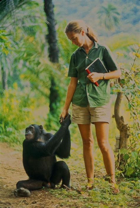 Jane Goodall: The Early Years