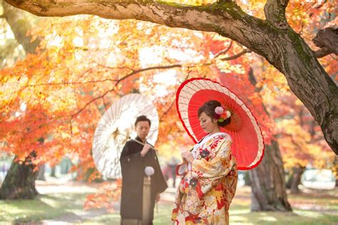 Japanese Culture: The Perfect Fusion of Tradition and Modernity