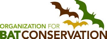 Joining Bat Conservation Organizations: Making a Positive Impact