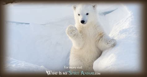 Journey to the Arctic: Interpreting the Symbolic Messages in Dreams Featuring Polar Bears