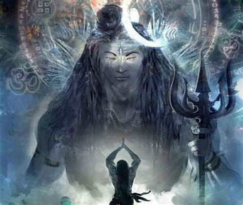 Journeying Through the Shiva Vision Experience