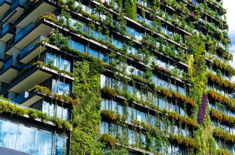 Learning from Nature: Sustainable Building Solutions