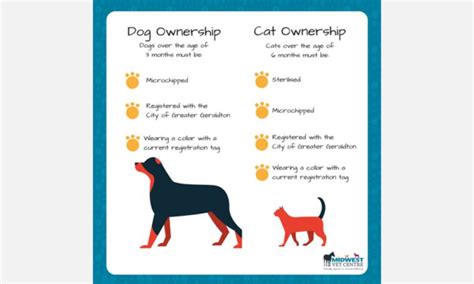 Legal and Ethical Considerations in Ownership of Non-native Pets