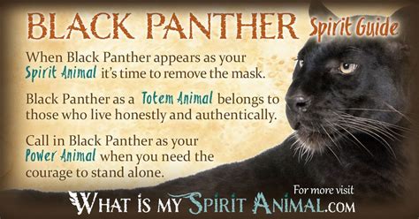 Legends and Folklore: The Mythical Significance of the Elusive Ivory Panther