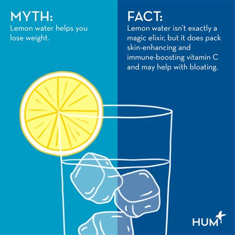 Lemon Water for Weight Loss: Sorting Fact from Fiction