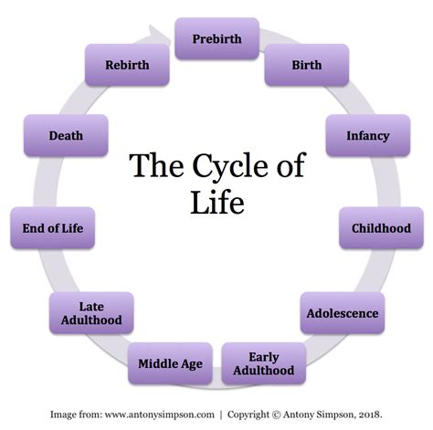 Life and Times: Key Information