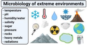 Life in Harsh Environments: Insights from Earth's Extreme Organisms