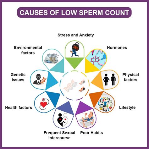 Lifestyle Factors and Decreased Sperm Count