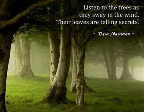 Listening to Trees: Unveiling the Wisdom they Possess for our Hectic Lives