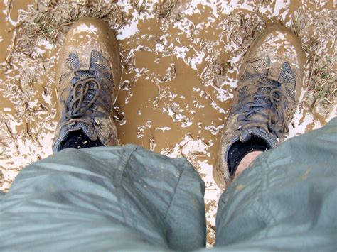 Lost in the Muck: Decoding the Negative Meanings Associated with Dreams of Muddy Soil