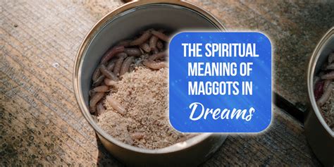 Maggots as Metaphors: Deciphering the Symbolism