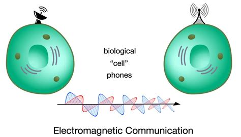 Magnetic Communication: The Craft of Enthralling the Audience