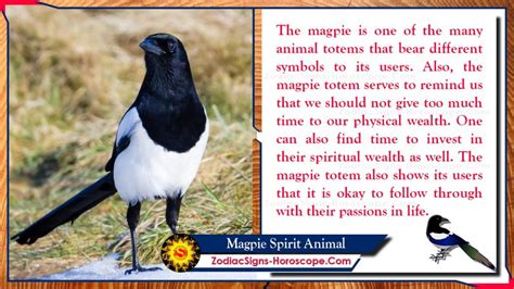 Magpies as Messengers in Dreamland: What Do They Convey?