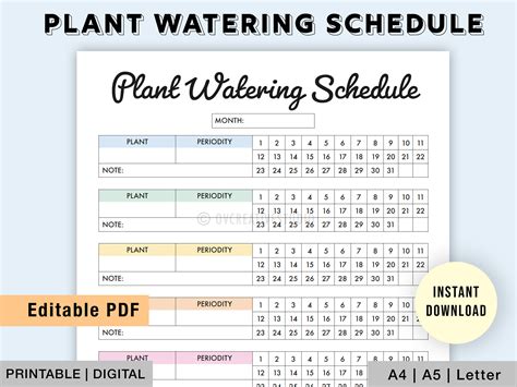 Maintain a Consistent Watering Schedule