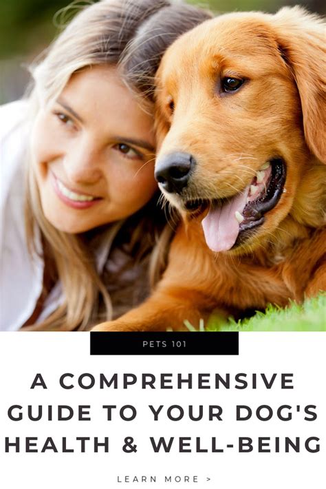 Maintaining Your Dog's Health and Well-being