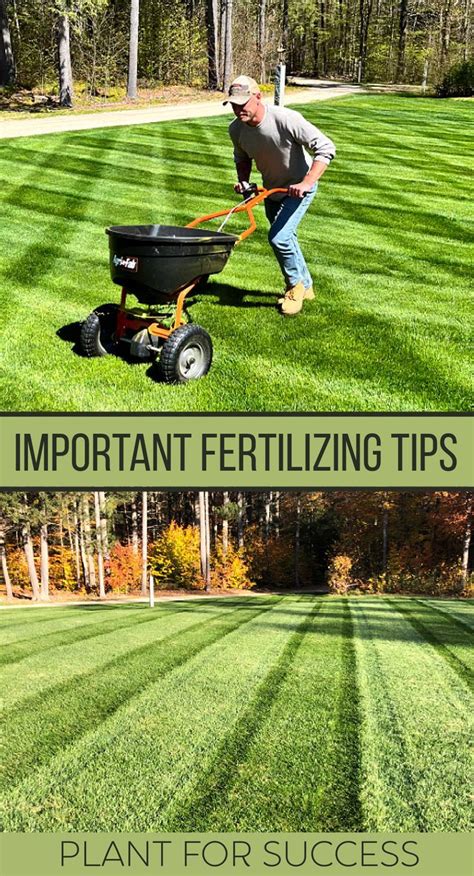 Maintaining a Stunning Yard: Essential Tips for Watering, Mowing, and Fertilizing