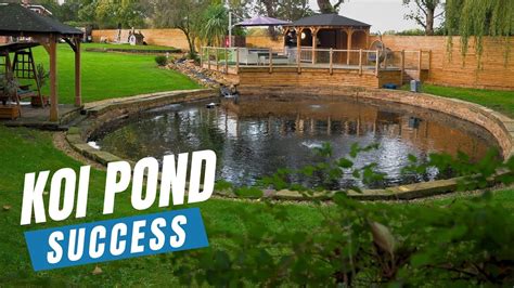 Maintenance Tips for a Thriving Koi Pond