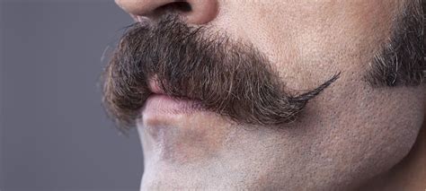 Maintenance and Care: Keeping Your Mustache in Prime Condition