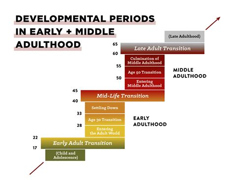 Major Milestones Achieved at Different Stages of Life