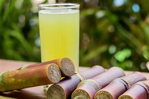 Making Sugarcane Juice at Home: A Guide to DIY Refreshment