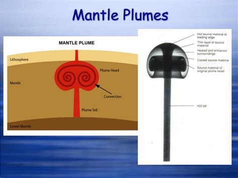 Mantle Plumes: Revealing the Enigmas of Hotspots