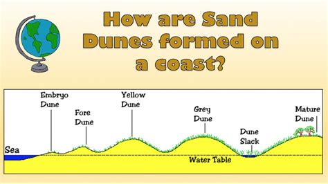 Marvels of Nature: The Formation of Sand Dunes