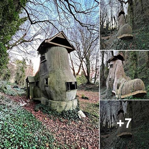 Marvels of Nature: Unveiling the Enigma Behind Ambulating Forest Giants