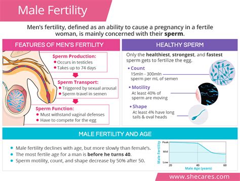 Masculinity and Fertility in Dreams: Revealing the Hidden Significance of Male Birthing