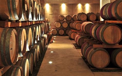 Master the Art of Wine Fermentation