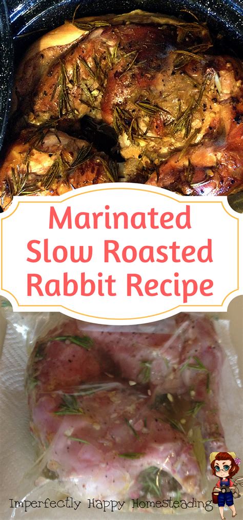 Masterful Culinary Creations: Unforgettable Rabbit Recipes