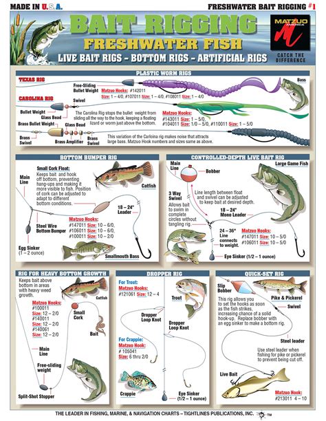 Mastering Rescue Techniques for Various Fish Species