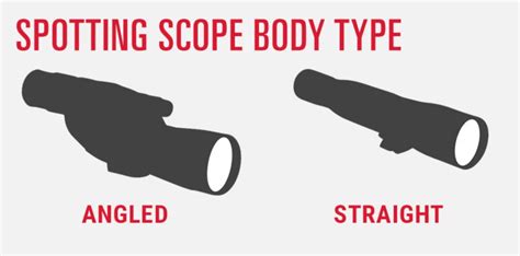 Mastering the Art of Spotting and Selecting the Perfect Guinep