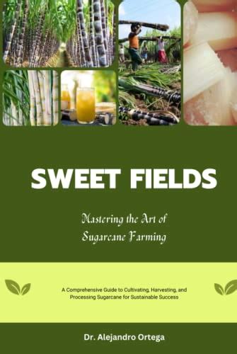 Mastering the Craft of Sugarcane Farming: Advice from the Professionals