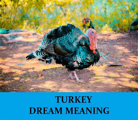 Meaning and Significance of Dreams About a Majestic White Turkey