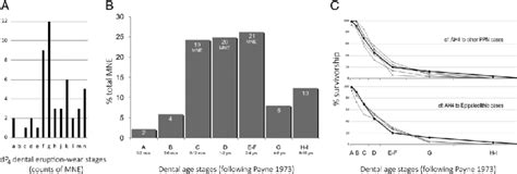 Meanings Behind Imagining a Pale Juvenile Caprine